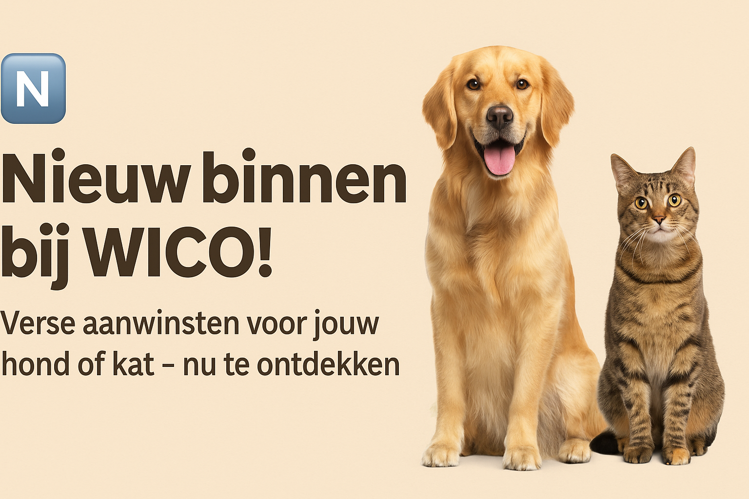 Nieuw