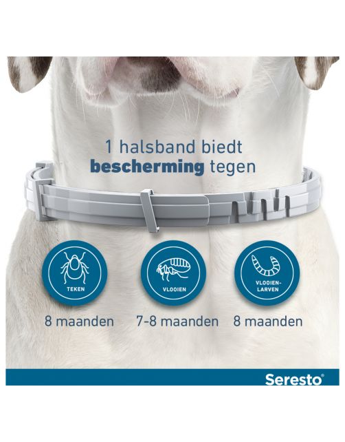 Seresto Teken- En Vlooienband Large - Anti tekenmiddel - per stuk Seresto