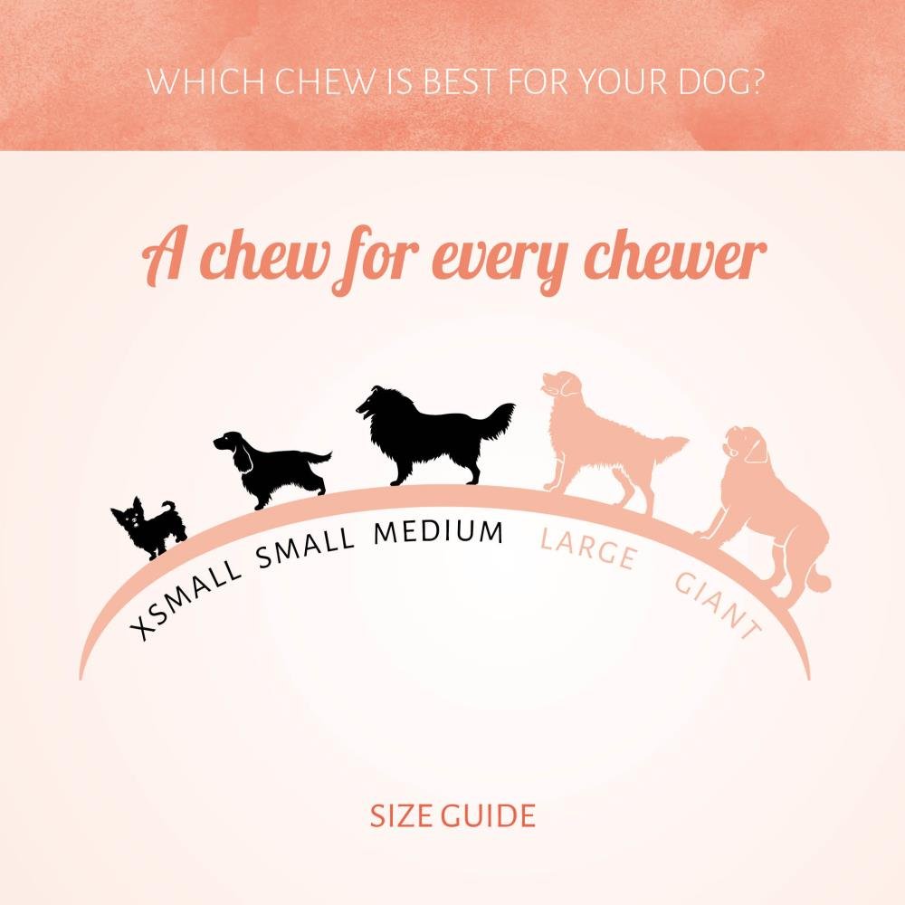 Antos Crunchy Munchy Sticks 5" 10 mm Assorti Antos