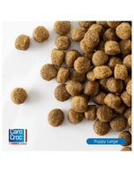 Carocroc Puppy Large Gevogelte&Vlees&Rijst - Hondenvoer Caro croc