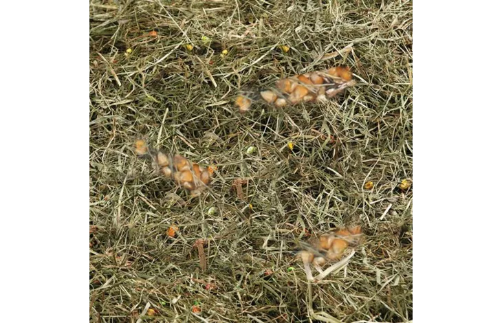 Flamingo hay corn wheat Flamingo