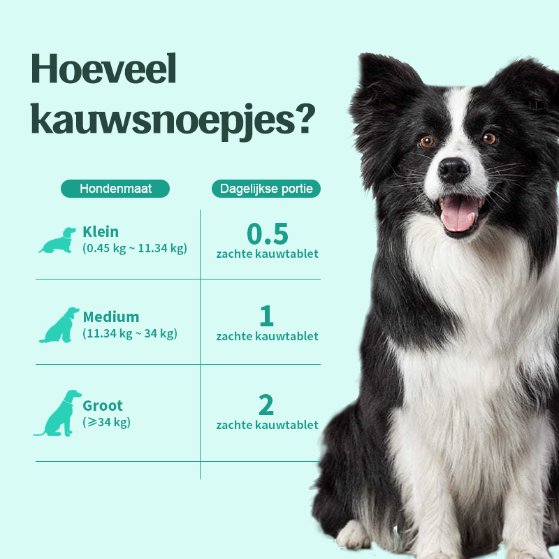 Wico Diervoeding Probiotic Bites — Gezonde darmen, blije dieren Wico-Diervoeding