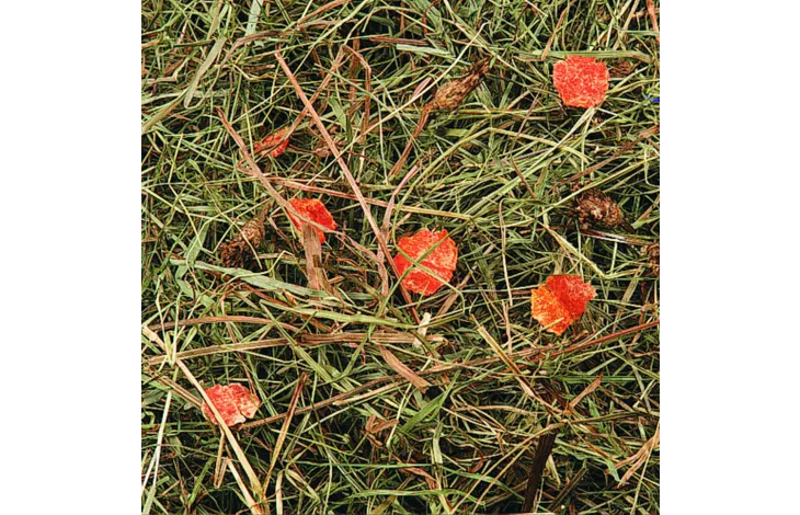 Flamingo - Berghooi Met Wortel - Bruin - 500 gr Flamingo