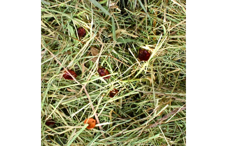 Flamingo snack berghooi met rozenbottel 500 gram Flamingo