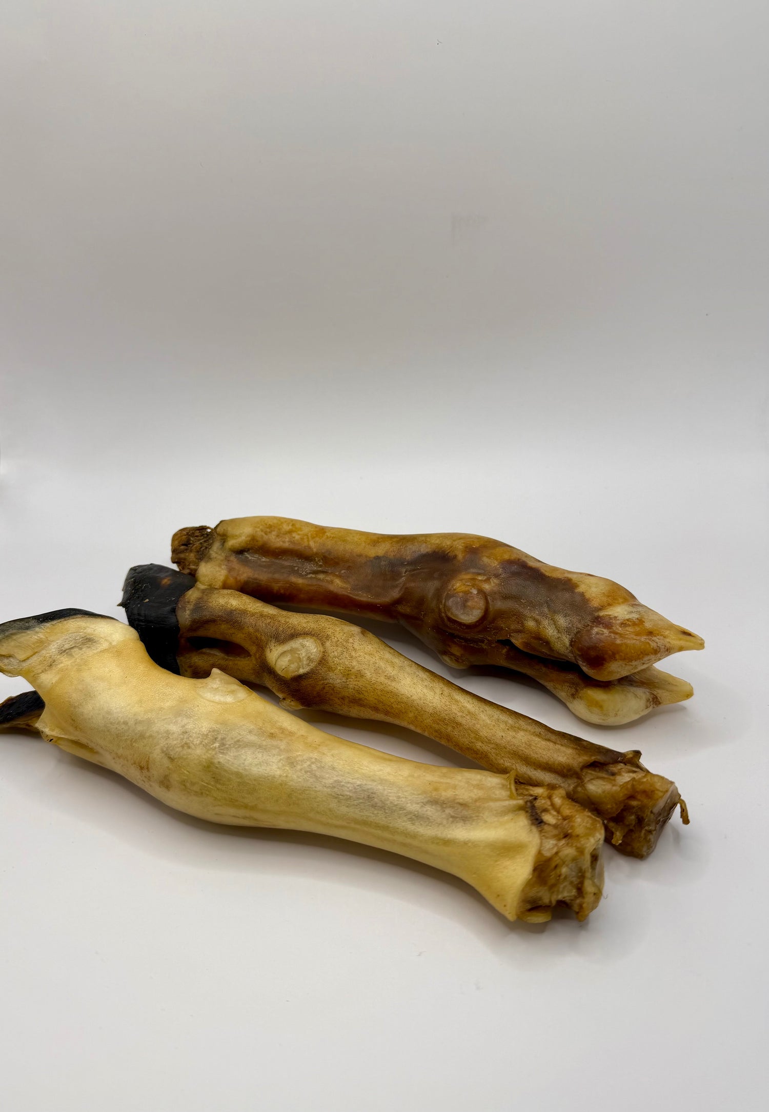 WicoTreats Lamspoot (5 stuks) Wico Diervoeding