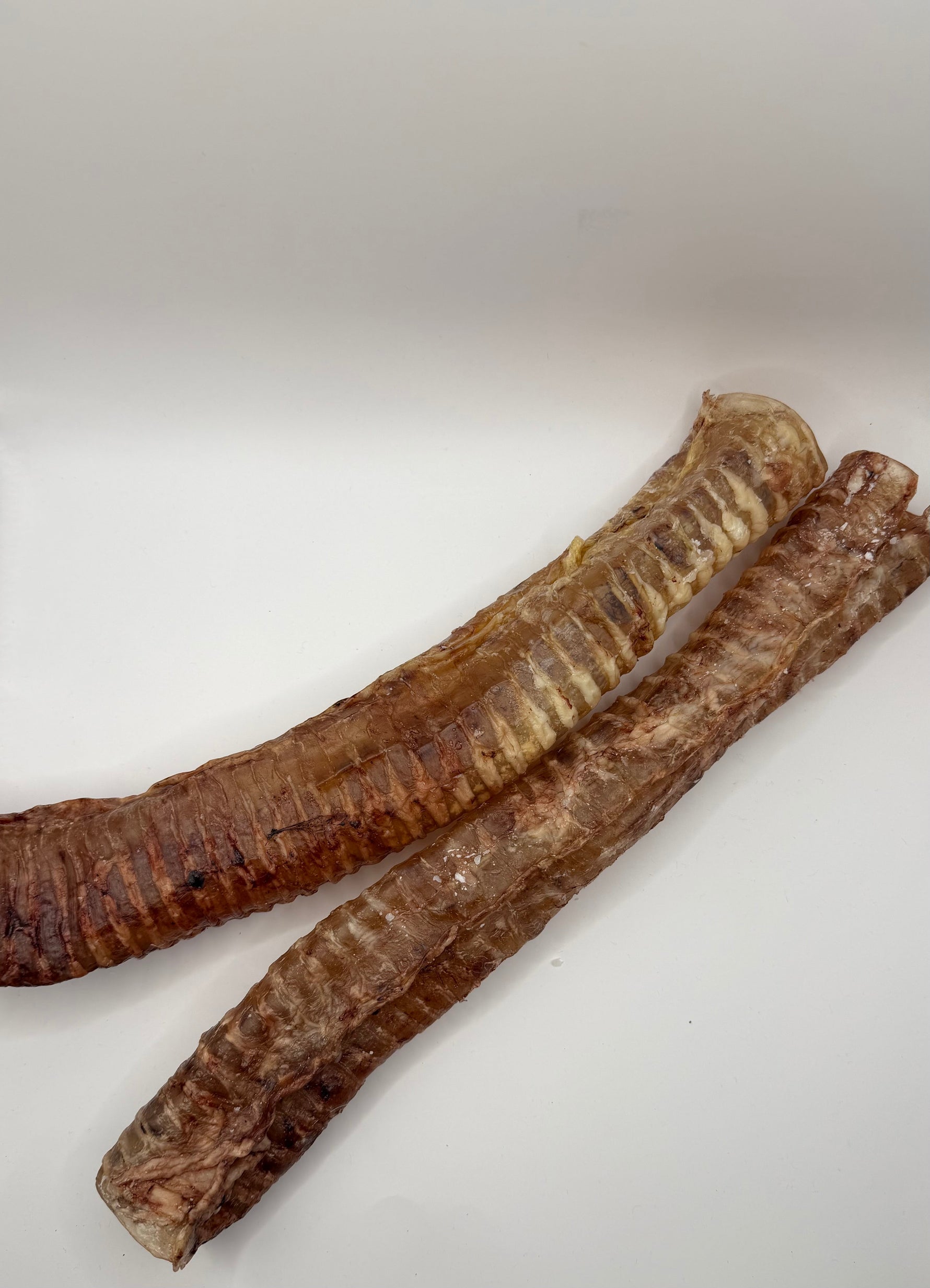 WicoTreats Runderluchtpijp EU (25-35cm) Wicotreats