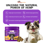 Wico Hip & Joints Support voor Honden – 100 Kauwtabletten | Gewrichten & Mobiliteit | 300g Wico-Diervoeding