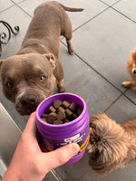 Wico Hip & Joints Support voor Honden – 100 Kauwtabletten | Gewrichten & Mobiliteit | 300g Wico-Diervoeding