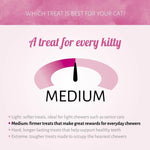 Antos Cat Soft Sticks Madame Zalm & Forel (6 stuks) - Graanvrije Kattensnack Antos