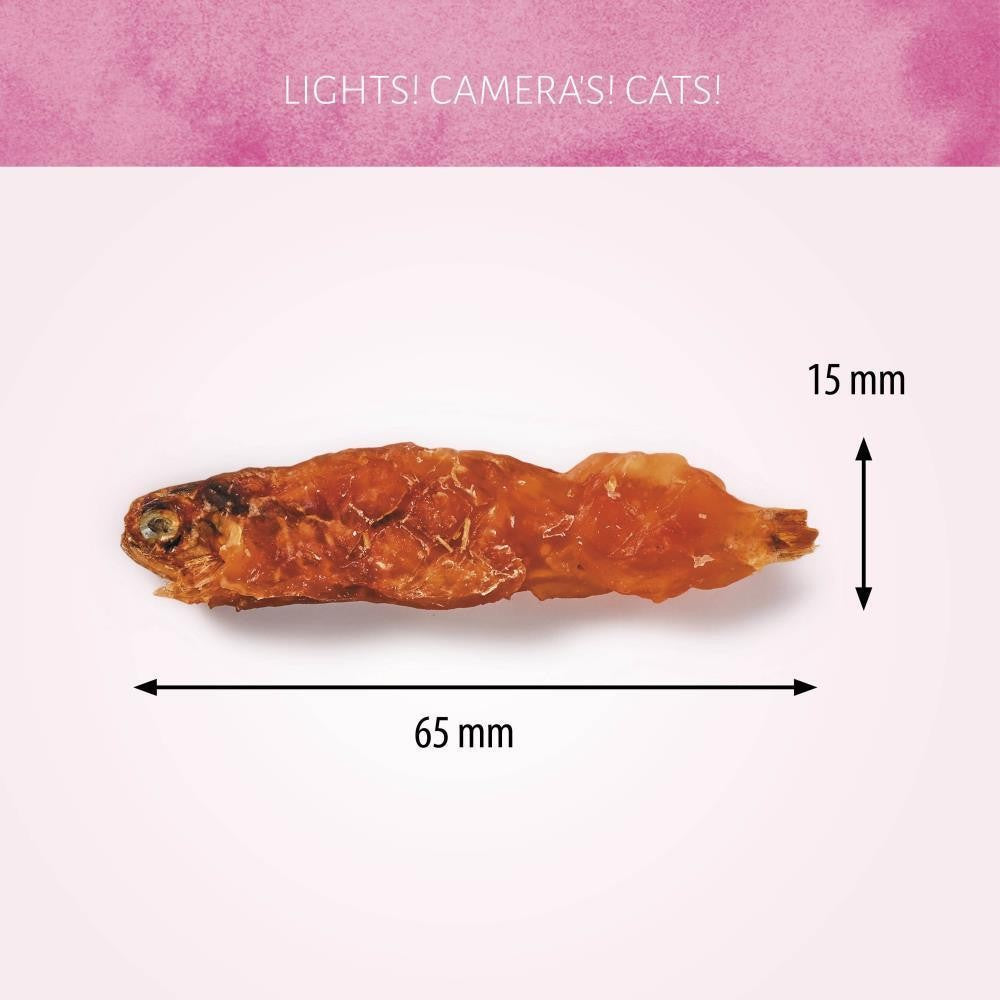 Antos kat treat seafood en fish Antos