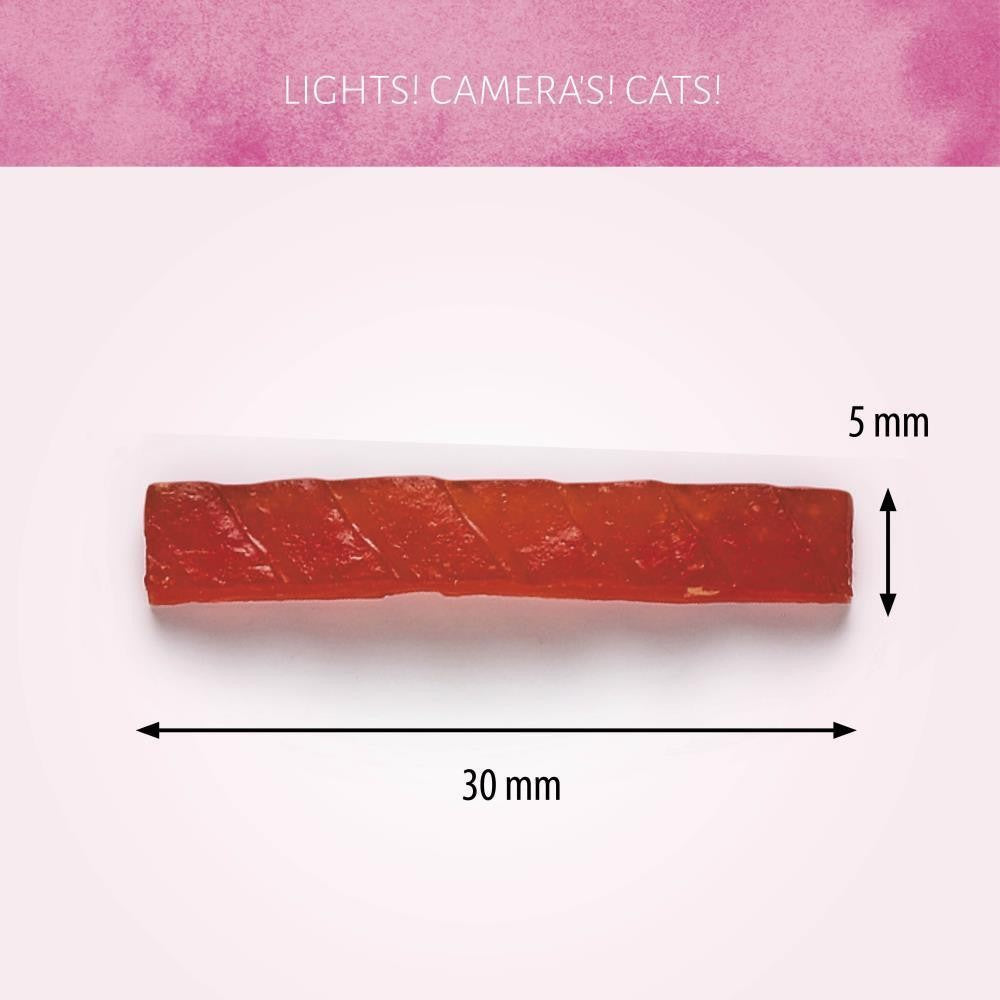 Antos Cat Treats Grilled Eend 50 gr - Graanvrije Gegrilde Kattensnack Antos