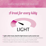 Antos Cat Treats Grilled Eend 50 gr - Graanvrije Gegrilde Kattensnack Antos