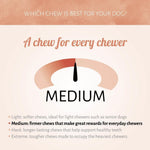 Antos Crunchy Munchy Sticks 5" 10 mm Rood Antos