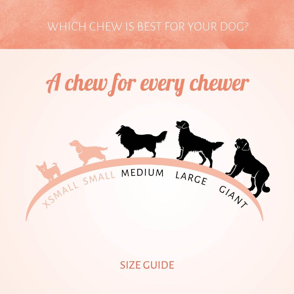 Antos Geperste Staaf 10" 20 mm - Extra Harde Kauwstaaf Runderhuid Wico Diervoeding