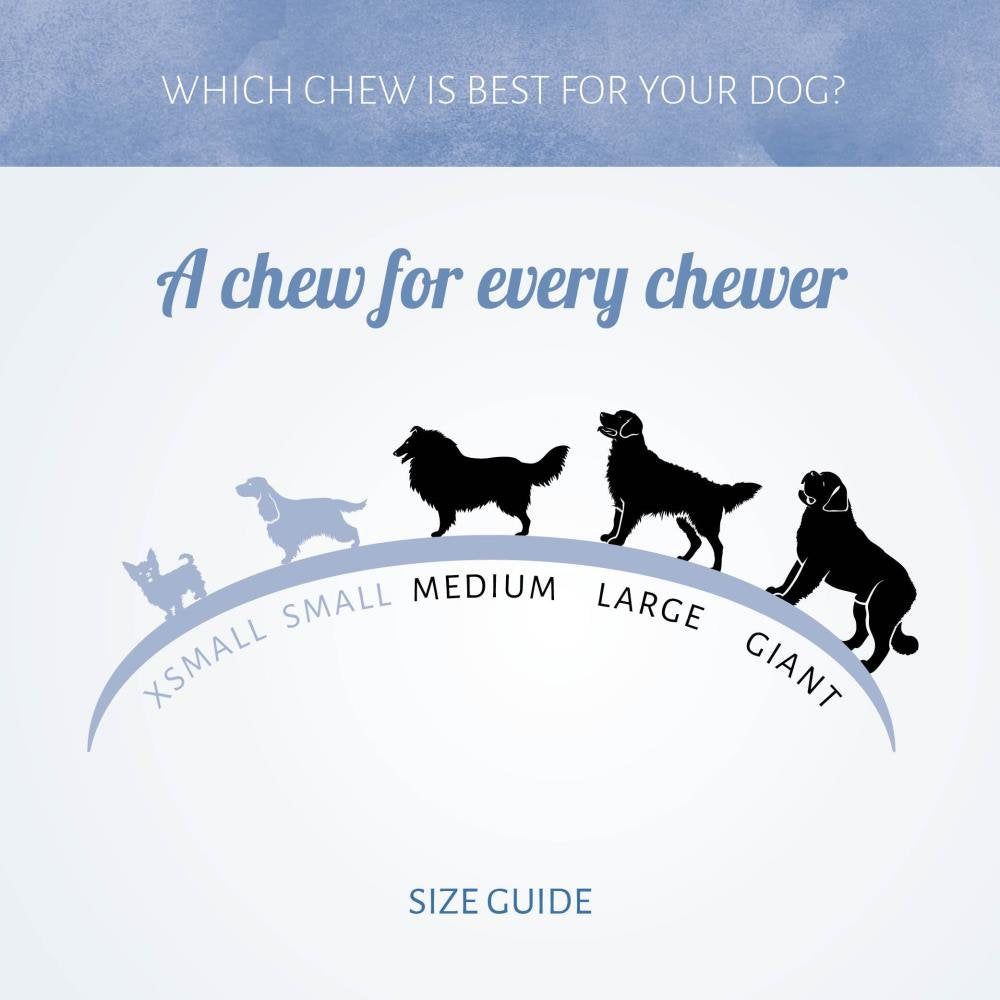 Antos Hercules Koek Per Stuk - Grote Harde Hondenkoek Antos