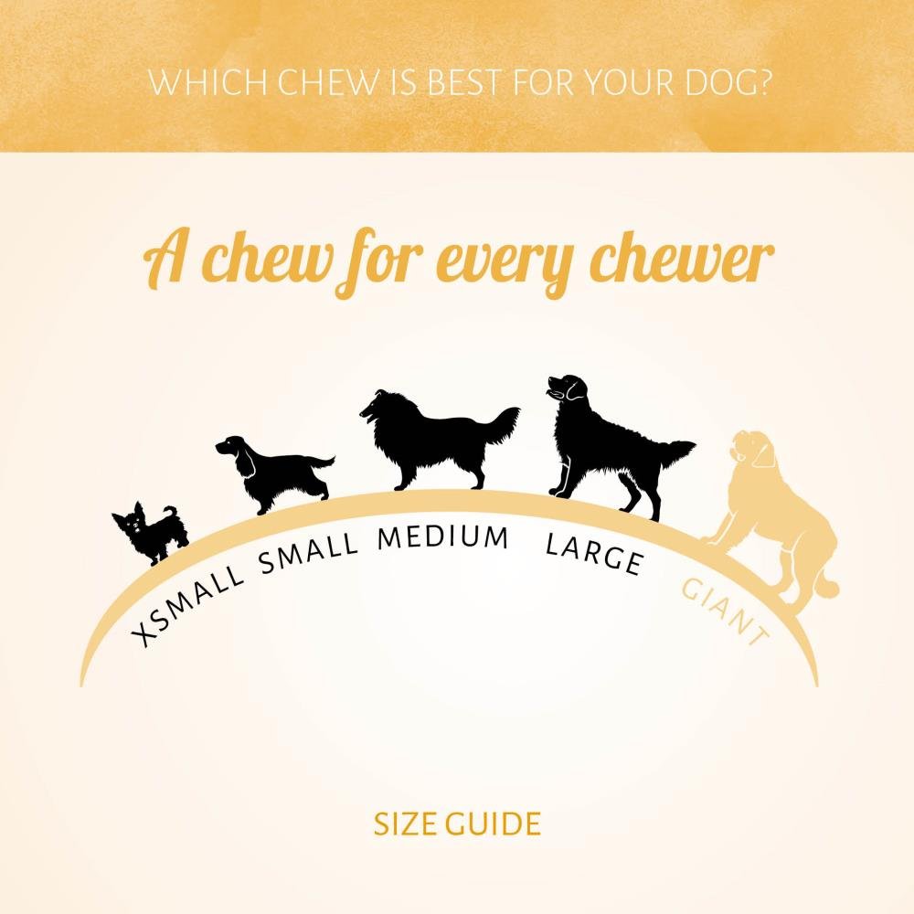 Antos Kauwrol Druivensuiker - Energieke Kauwsnack Hond Antos