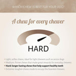 Antos Kophuidrol Rund 25 cm - Extra Harde Natuurlijke Kauwsnack Antos