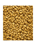 Versele-Laga NutriBird P15 Original 1kg - Compleet Papegaaienvoer versele-laga
