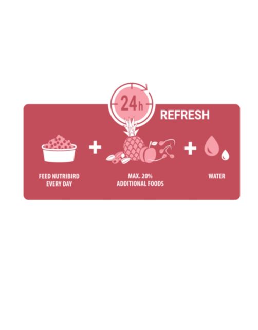Versele-Laga NutriBird P15 Original 1kg - Compleet Papegaaienvoer versele-laga
