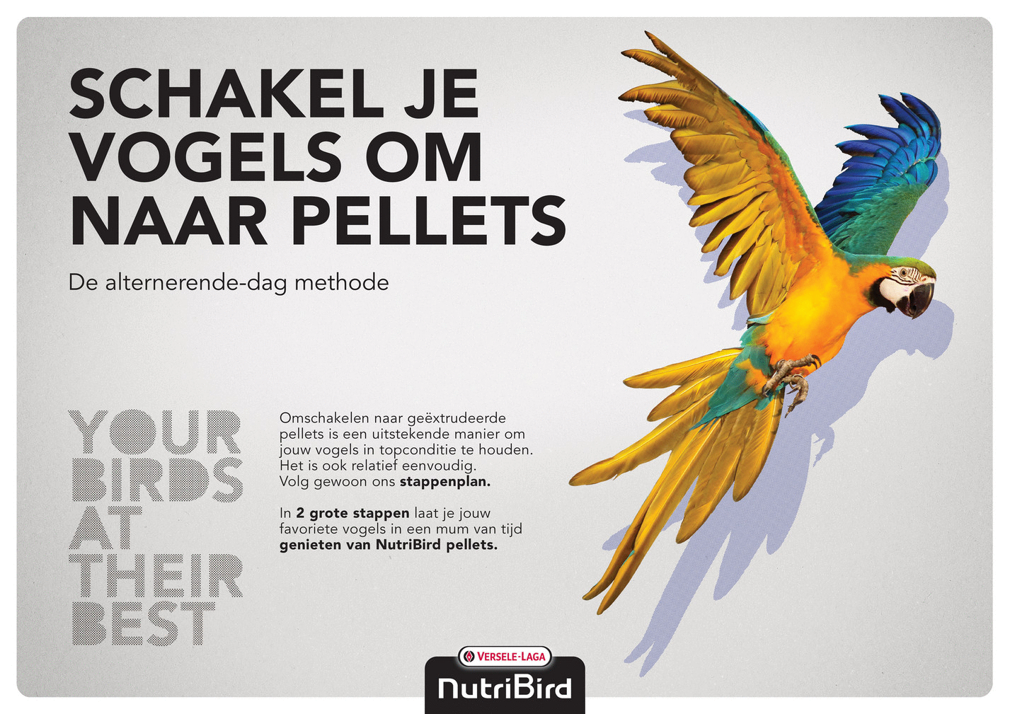 Versele-Laga NutriBird P15 Tropical - Compleet & Kleurrijk Papegaaienvoer versele-laga