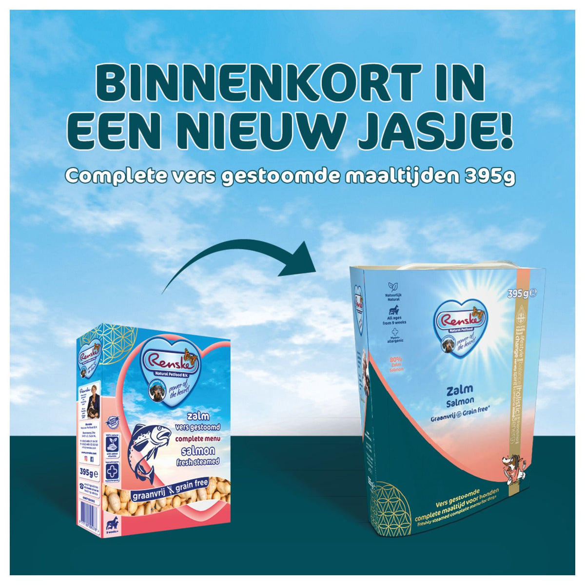 Renske Adult Vers Gestoomde Zalm & Aardappel 395 g - Graanvrij Renske