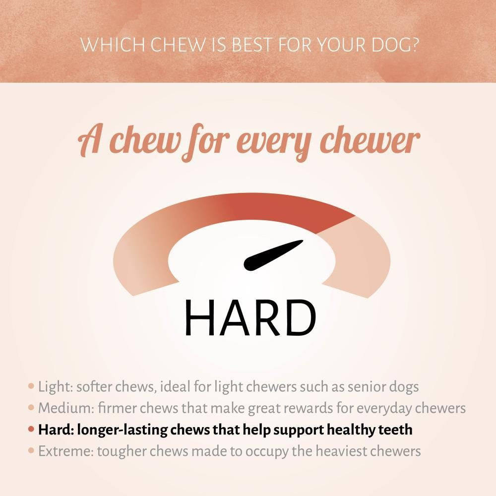 Antos Schoen 5" (25-30 gr) - Natuurlijke Kauwsnack Runderhuid Antos