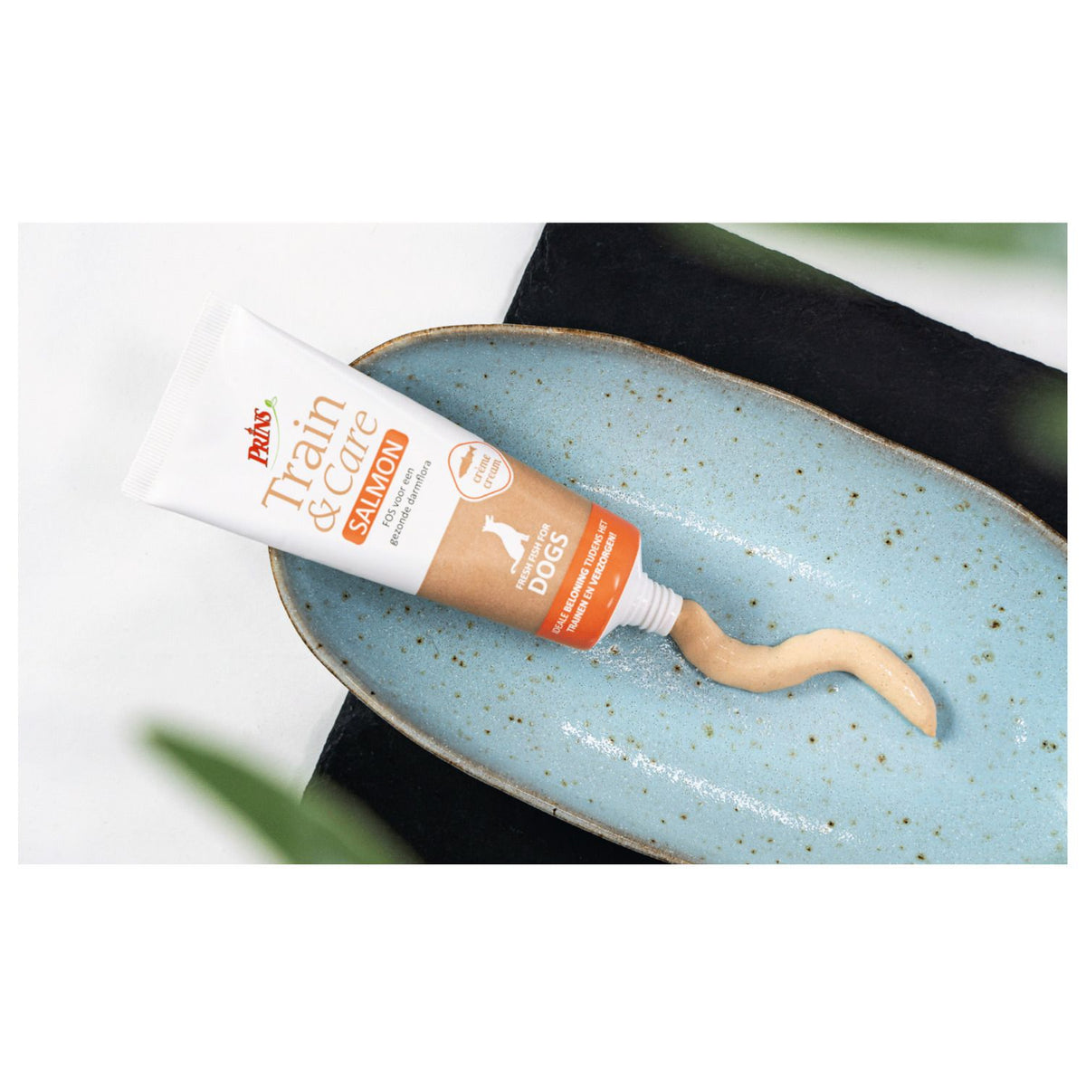 Prins Train & Care Dog Paté Zalm 75 g - Graanvrije Beloningstube Prins