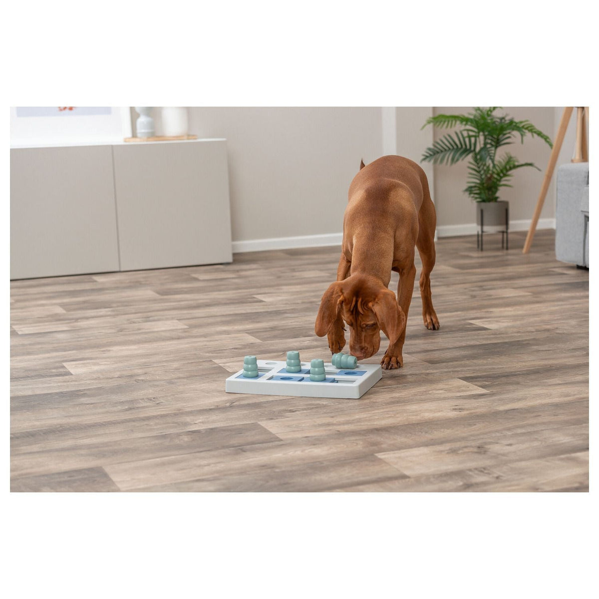 Trixie Dog Activity Chess Denkspel - Hondenspeelgoed - 40x27 cm Dark Navy Wit Lichtblauw Level 2 Trixie